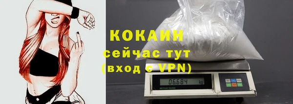 дживик Медвежьегорск