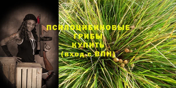 a pvp Медногорск