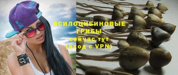 a pvp Медногорск