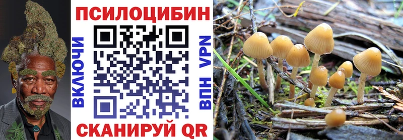 Галлюциногенные грибы MAGIC MUSHROOMS  Приволжский 